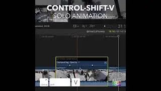 Final Cut Pro Shortcut | Control-Shift-V | Solo Animation