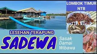 LESEHAN TERAPUNG SADEWA LOMBOK TIMUR | MENIKMATI SEGARNYA SEAFOOD LANGSUNG DI TENGAH LAUT |