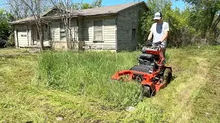 The owners moved 5 YEARS ago and the yard hasn’t been TOUCHED since