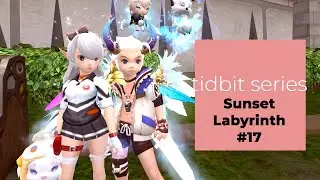 Sunset Training Ground Labyrinth #17 | Dragon Nest SEA Tidbit Series