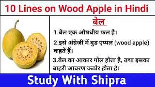 10 Lines on Wood Apple in Hindi | Short Essay on Wood Apple in Hindi | 10 पंक्तियां बेल पर | बेल |