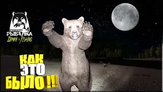 Русская рыбалка 4.🎣 АТАКА МЕДВЕДЯ !!! 🐻 😱 👀