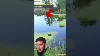👍ЗДОРОВЫЙ АМУР🤯 