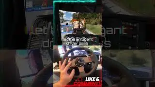 I let the arrogant driver pass | Euro Truck Simulator 2 | G27 | ETS2 