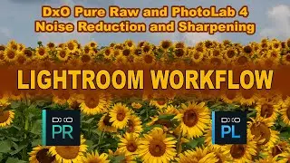 DXO PURE RAW (Plus) DXO PHOTOLAB 4 Noise Reduction and Sharpening LIGHTROOM WORKFLOW...