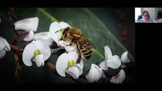 Photofocus Community Hangout July 14, 2022   Julie Powell Macro Photography