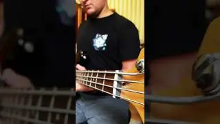 jazzbass maxtone traditional series custom hand made