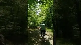 Codru-i frate cu românul,peisaj de basm.