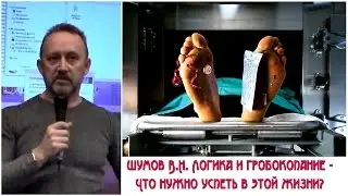 Шумов В.Н. Логика и гробокопание - Что нужно успеть в этой жизни?