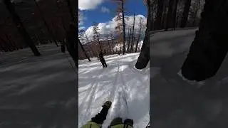Фрирайд по лесу. Пухожоры в деле🤙🤙🤙🔥🔥🔥 