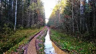 Возвращаемся с озера Рыбное. Часть 5. We return from the lake Rybnoye. Part 5