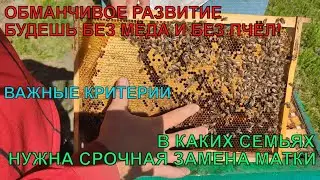 Как выглядят ПЛОХИЕ ПЧЕЛИНЫЕ СЕМЬИ где НУЖНО СРОЧНО МЕНЯТЬ МАТОК иначе НЕ МЁДА НЕ РАЗВИТИЯ ☝️🐝🐝
