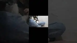 ночной актив? 