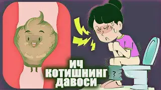 ИЧИНГИЗ КОТСА 1-СТАКАН ИЧАСИЗ 1-ЗУМДА ХОЖАТГА ЧИКАСИЗ КОРИН ДАМ БУЛИШИДАН КУТИЛАСИЗ ХАТТОКИ ОЗАСИЗ