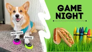 Talking DOGS Play Trivia Game! 