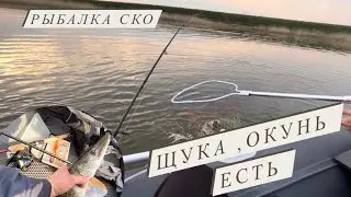 Щука есть ,окунь есть /Первый выезд за щукой /Рыбалка 2023