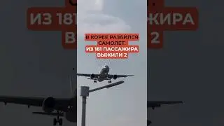 Срочно! В Корее разбился самолет. Из 181 пассажира выжили 2