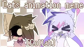 Cats meme [oc] // collab with 