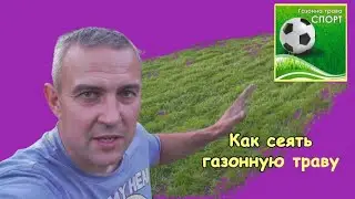 How to sow lawn grass