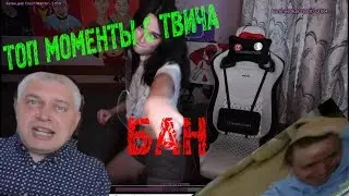 ТОП МОМЕНТЫ С ТВИЧА // БАН ВАЛЭКАСУ // МИЛЫЙ МОПСИК #3