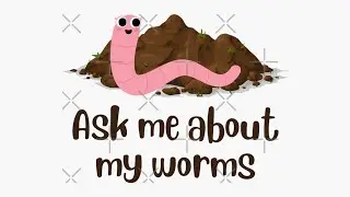 We made a Worm Farm * How to make a worm farm