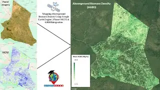 Mapping Aboveground Biomass Density Using Google Earth Engine | Planet NICFI & GEDI Integration