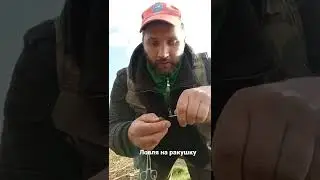 рыбалка на ракушку 