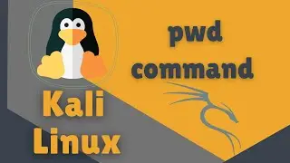 pwd command in Linux Kali and Ubuntu