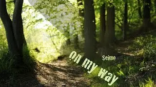 Seimo: on my way