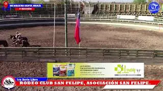 1RA SERIE LIBRE,  RODEO CLUB SAN FELIPE, ASOCIACION SAN FELIPE, MEDIALUNA SANTA MARIARA