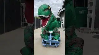 Dog Hosts Dinosaur Mario Kart! 