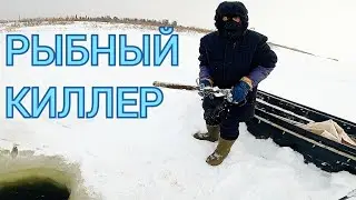 Приходил зверёк. ПРОВЕРКА ПЕРЕМЕТА. 