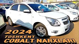 COBALT NARXLARI. TOSHKENT.22-yanvar, 2024