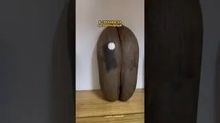 Самый большой фрукт на планете - КОКО ДЕ МЕР 🤯