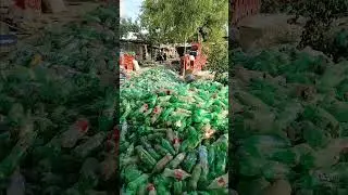 coca cola pulpy audit