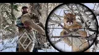 Mountain Lion Hunting with Hounds | Self-Filmed | Wyoming | 4K