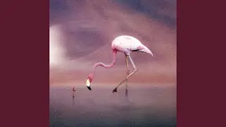 Voyager