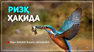 57-Дарс: Жалолайн-Қуръони Карим, Бақара сураси 172-173-оятлар тафсир  | Шайх Абдуллоҳ Буҳорий