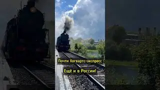 РЖД по-царски: лучший поезд в России 🔥 #путешествия #карелия