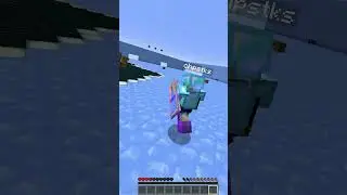 we made our own mini game on our SMP... 