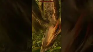 Ark Survival Ascended Funny Moment!
