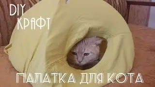 Как сделать домик для кота | How to make a house for a cat