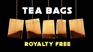 Tea Bags | Studio shot
