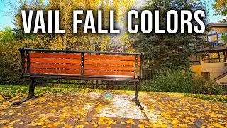 Vail, Colorado in Autumn | Scenic Walking Tour in 4K