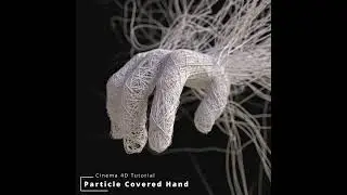 Particle Covered Hand (Cinema 4D - Patreon Tutorial - Preview) #cinema4d #tutorial