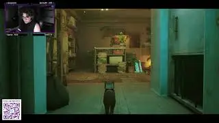 O ROBOZINHO MORREU (stray pt.3)