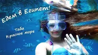 Египет и Красное море! Город Таба