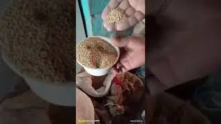 অঞ্জলি পাখি এন্ড খাদ্য সেন্টার বনগাঁ।