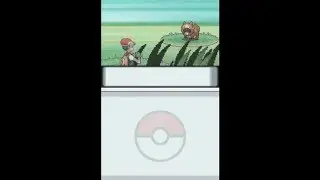Pokemon Diamond: Effects caused by glitch moves