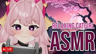 🔴 [ASMR] RELAXING ASMR with your catgirl! 💝 ASMR Menu + Triggers!🐱(3Dio)
